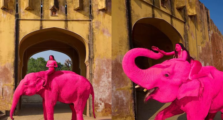 mühendisyen tweet media