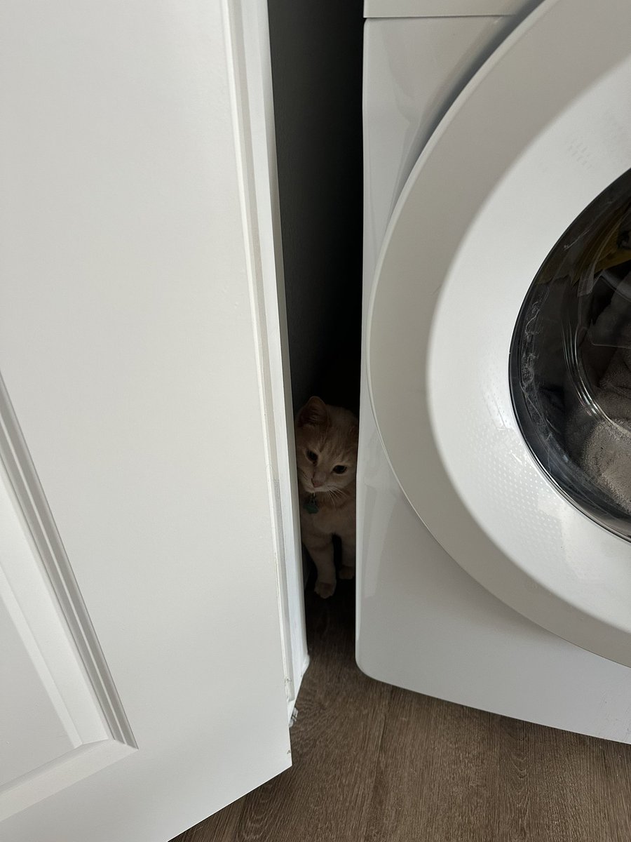 sayntsofia's tweet photo. someone’s big fat ass got stuck behind the washing machine https://t.co/aMuhTuVdIj