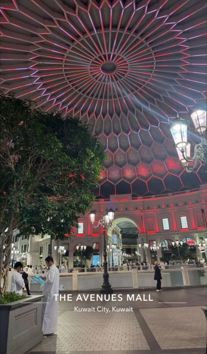 دانية سالم tweet media