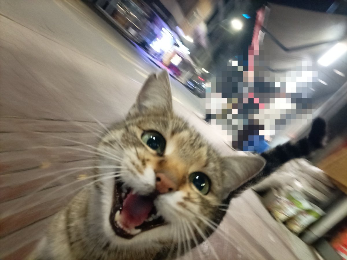 abla biri tweet media