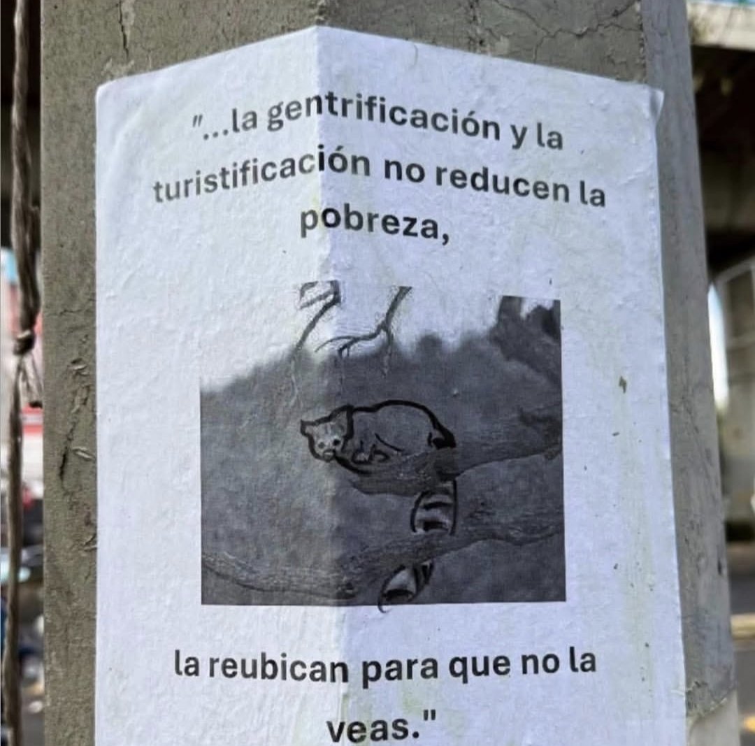 lady bird tweet media