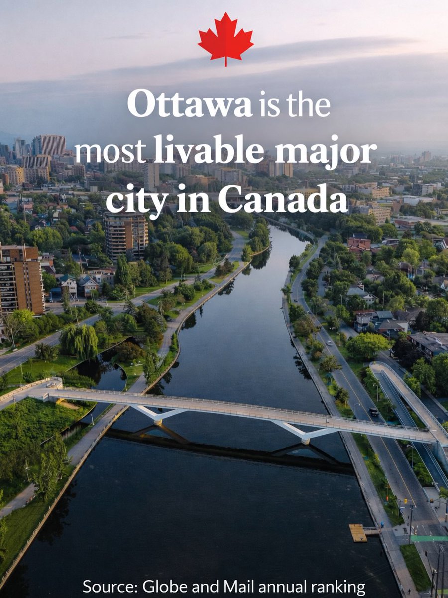 Mark Sutcliffe tweet media