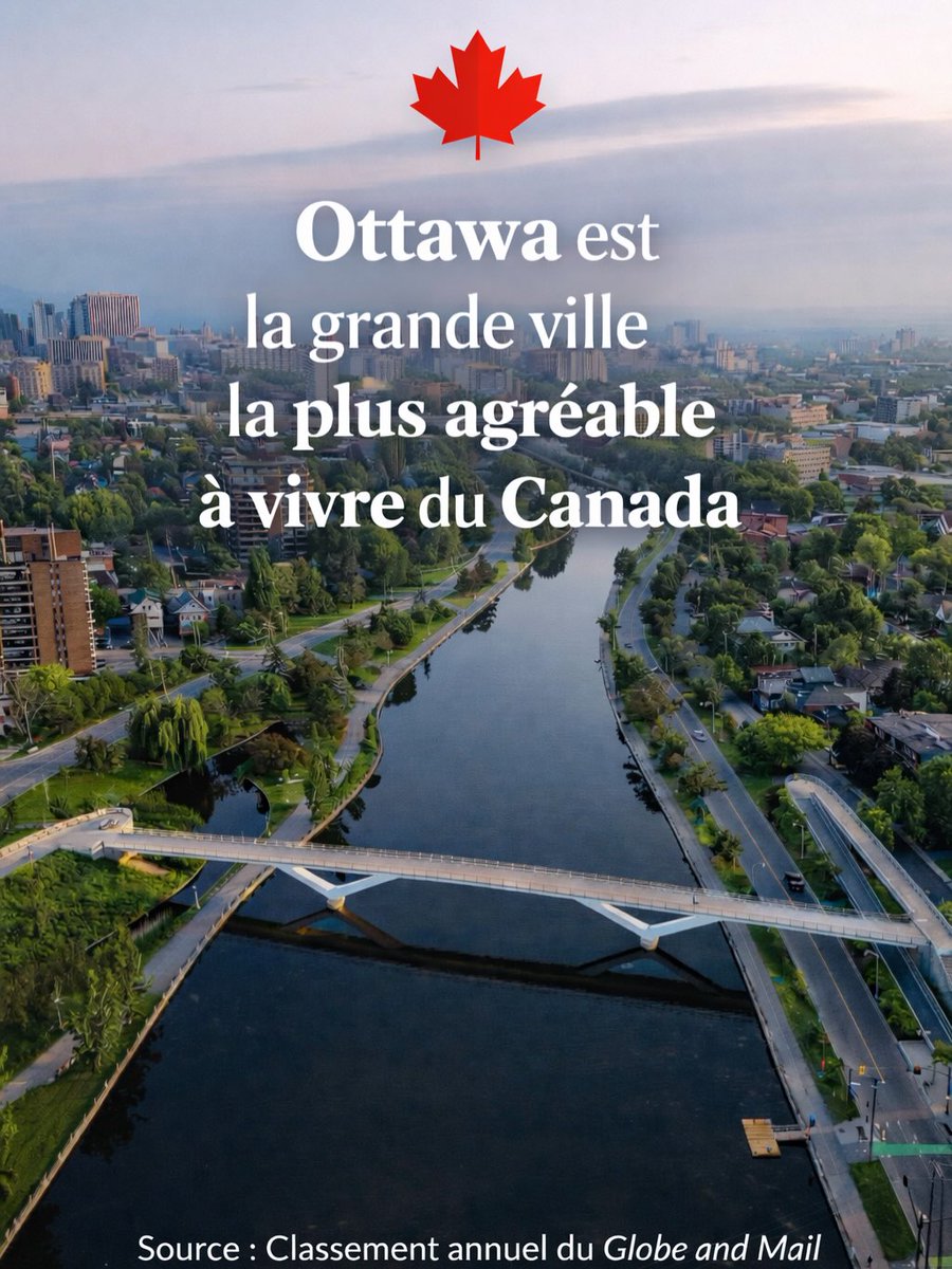 Mark Sutcliffe tweet media