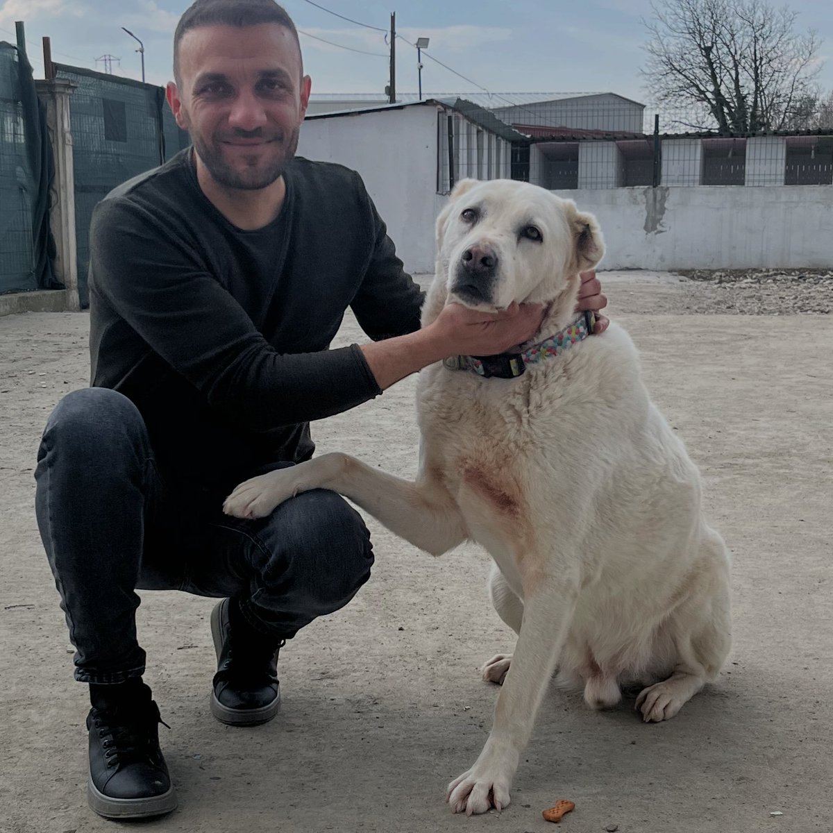 Emrahça tweet media