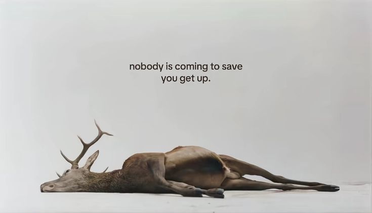 love drops tweet media