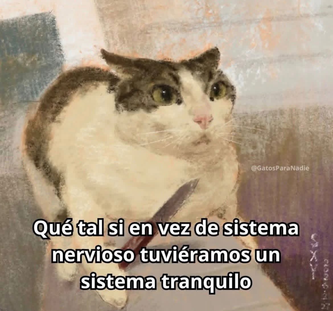 Dilo con gatitoz tweet media