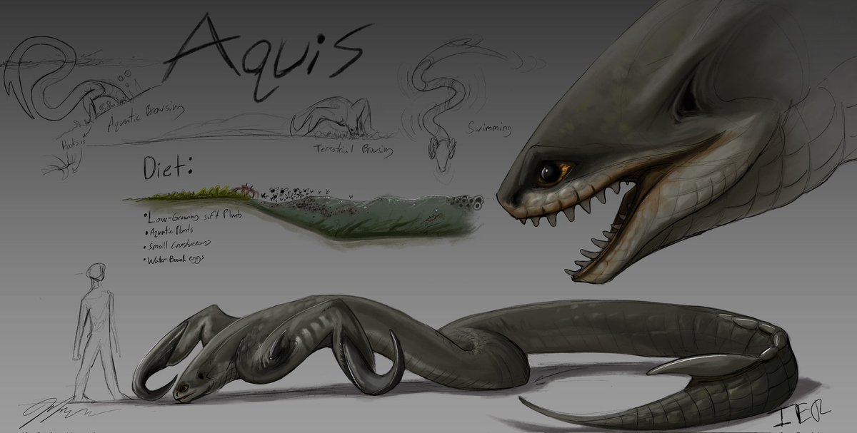 Kouki I.E.R. tweet media