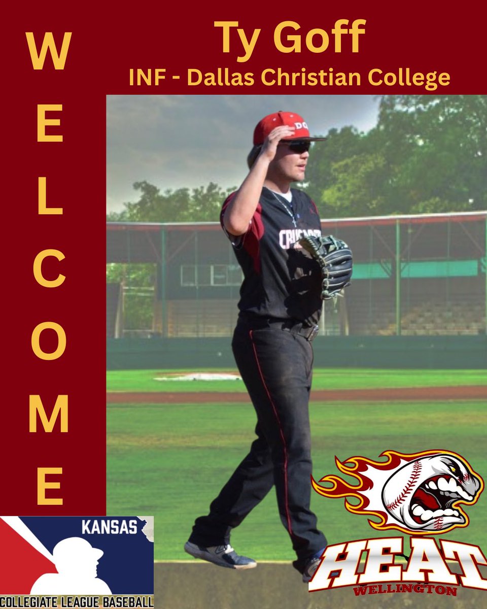 WellingtonHeat tweet media