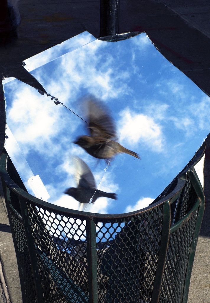 スエイラ ☔ tweet media