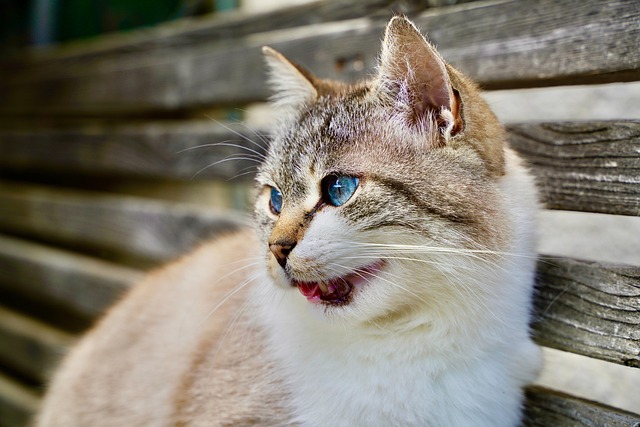 Michelle Harris tweet media