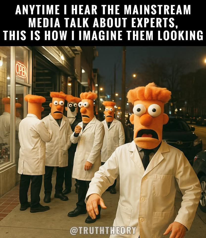 Nico "Gordini" Kestens tweet media