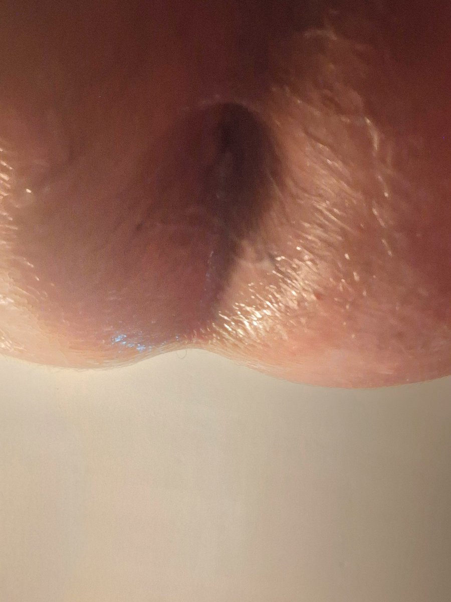 Slutty Critter~ tweet media