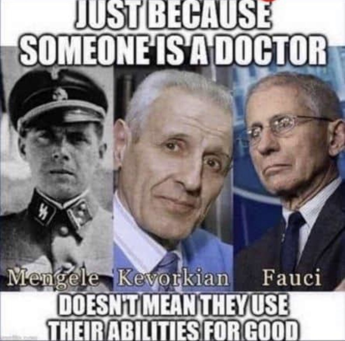 JosephMoshe 🐭 tweet media