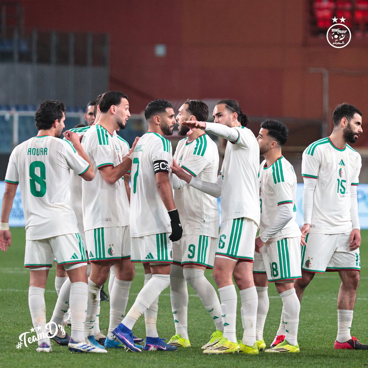 Renard Des surfaces tweet media