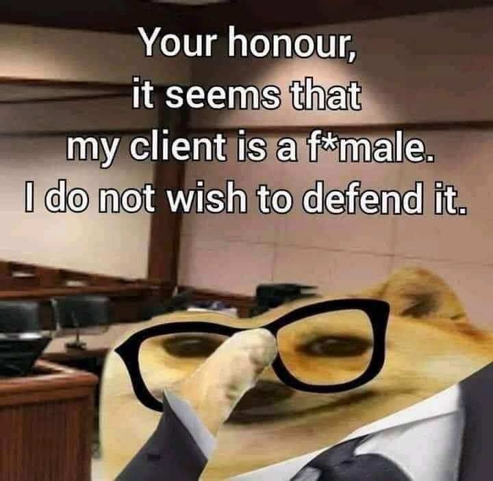 Baller_caust_Survivor tweet media