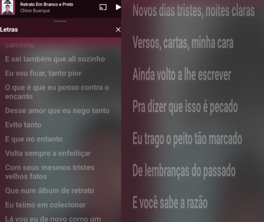 acervo chico buarque tweet media