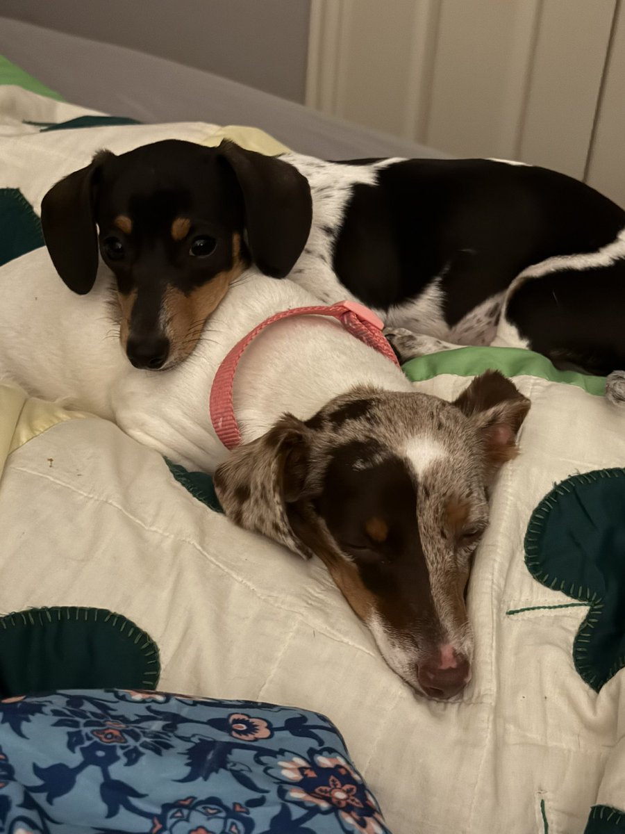 Rita Ballou tweet media