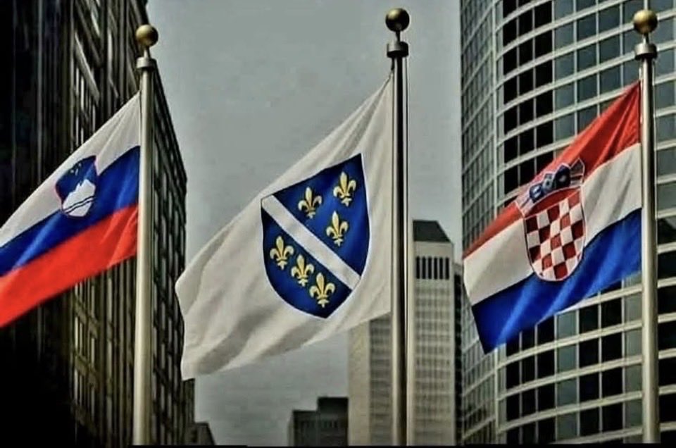 Amra Bilic Hamzic tweet media