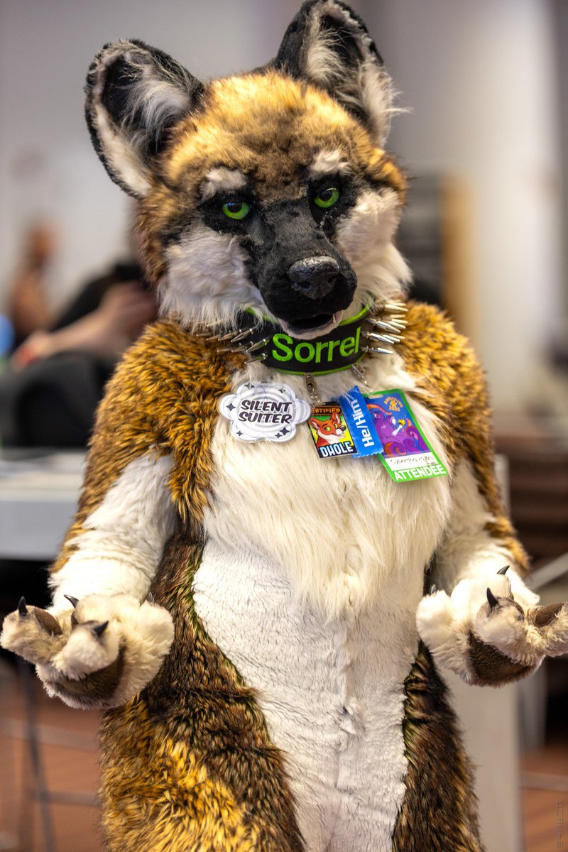 💀 Level 🔥🔜 Anthrocon tweet media