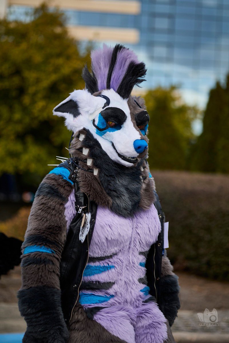 💀 Level 🔥🔜 Anthrocon tweet media