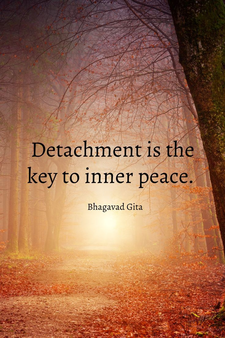 Tao Guru tweet media