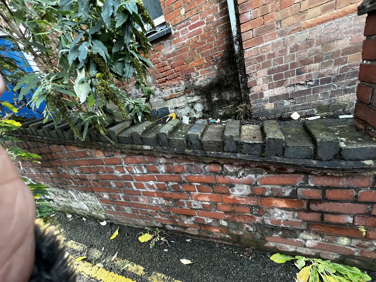 ワンダーパーラー　クラシカルメイド® tweet media