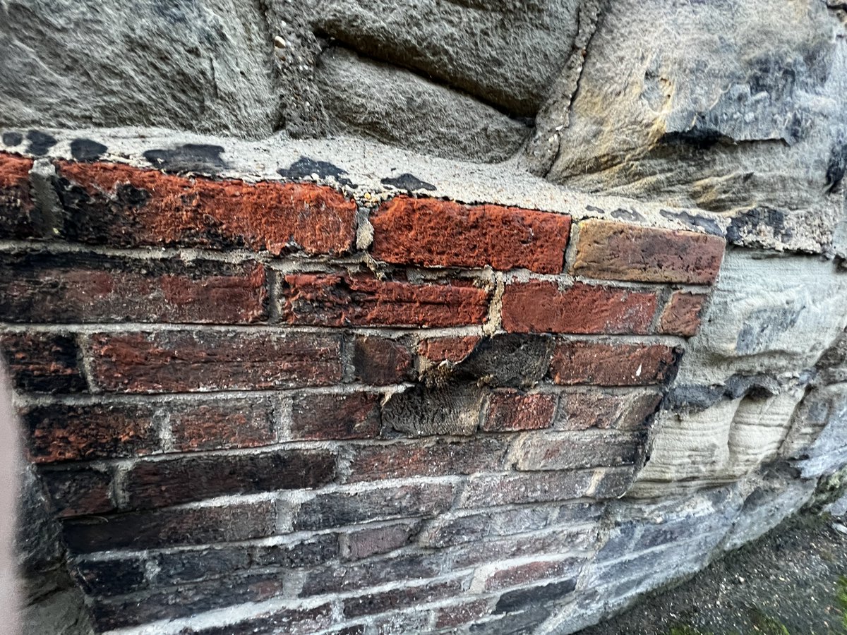 ワンダーパーラー　クラシカルメイド® tweet media