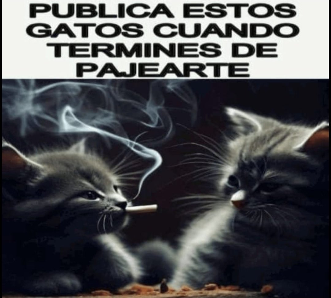 ➢𝑴𝒓𝑲𝒂𝒏𝒙𝒛🌹 tweet media