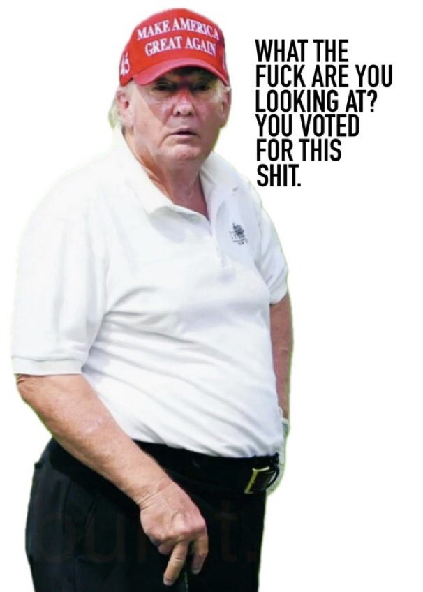 Isabel M tweet media