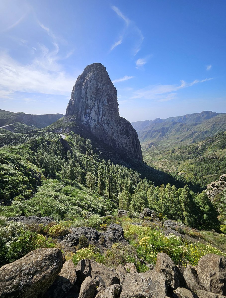 Ali🇮🇨 tweet media