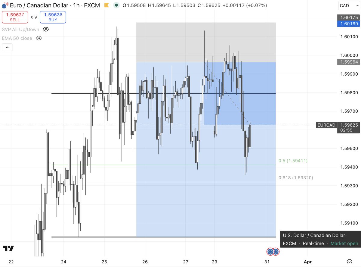 Trader Palms 🌴 tweet media