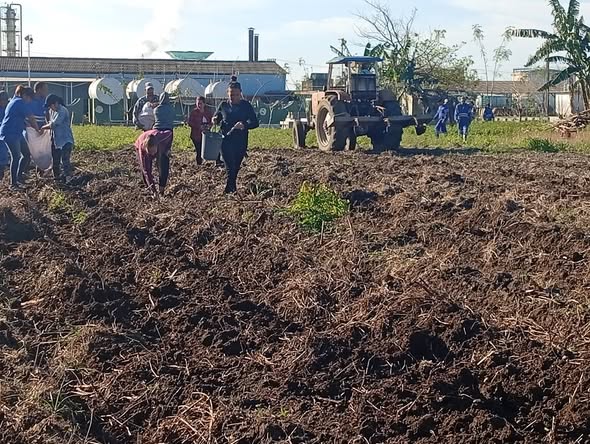 Refinería de petróleo Sergio Soto tweet media