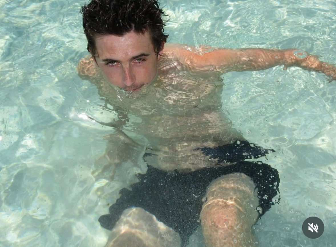 Musetta-TC tweet media