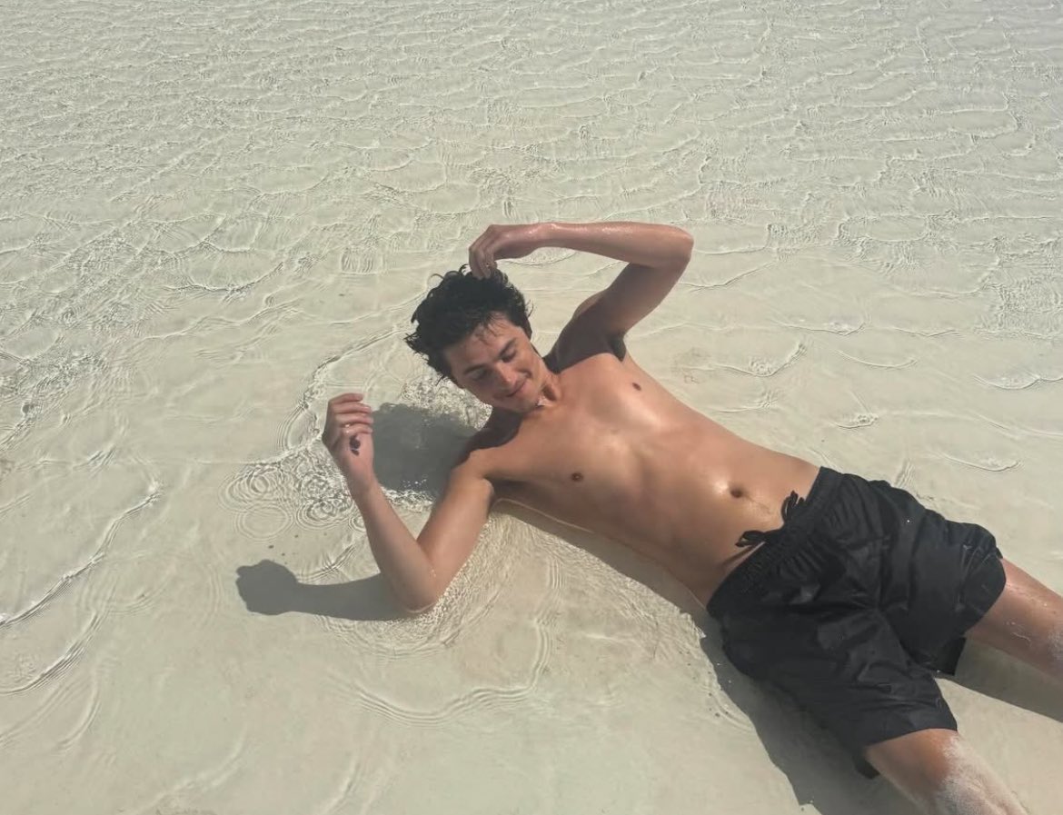 timothée chalamet's impregnator tweet media