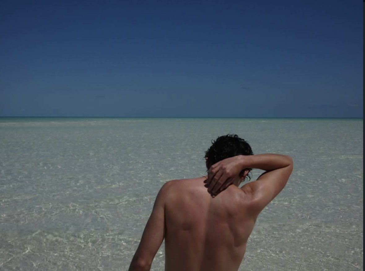 timothée chalamet's impregnator tweet media