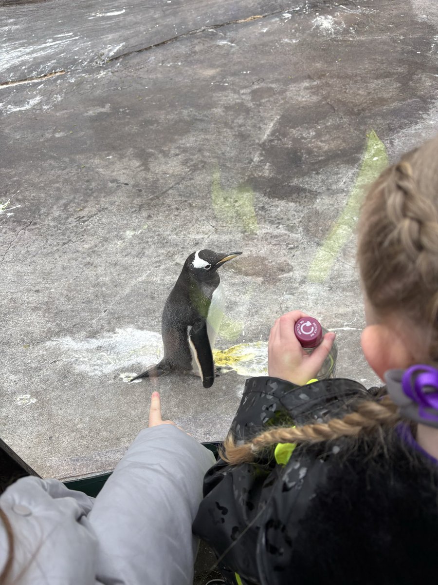 Miss Sinclair P1a tweet media