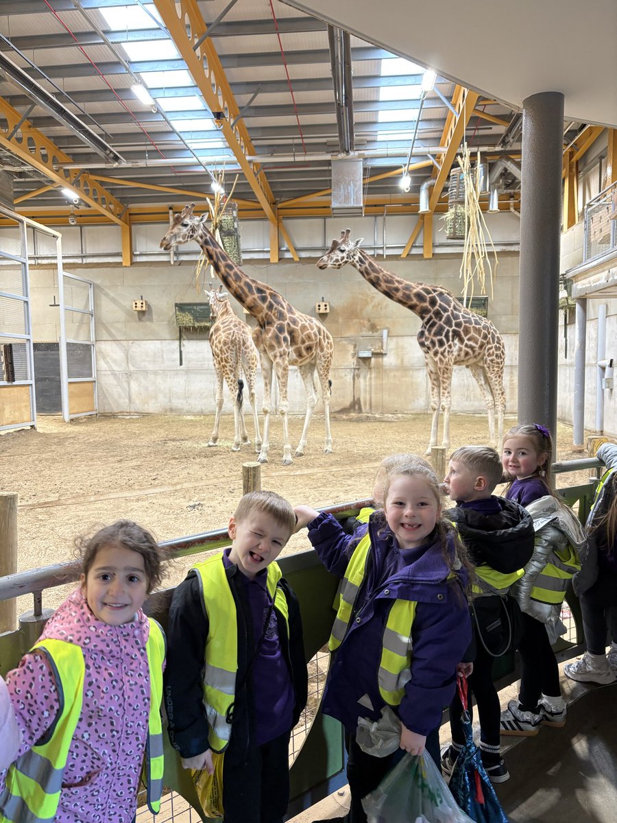 Miss Sinclair P1a tweet media