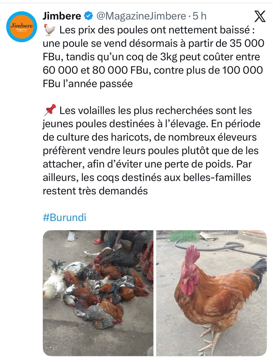 Umuhinga yigenga tweet media