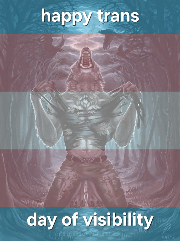 돌고앵이 tweet media