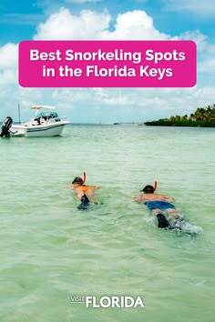 The Beach Life tweet media