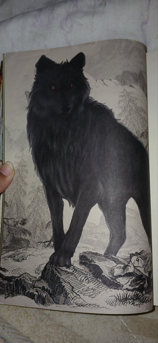 Sunsetoak ❤‍🔥 tweet media