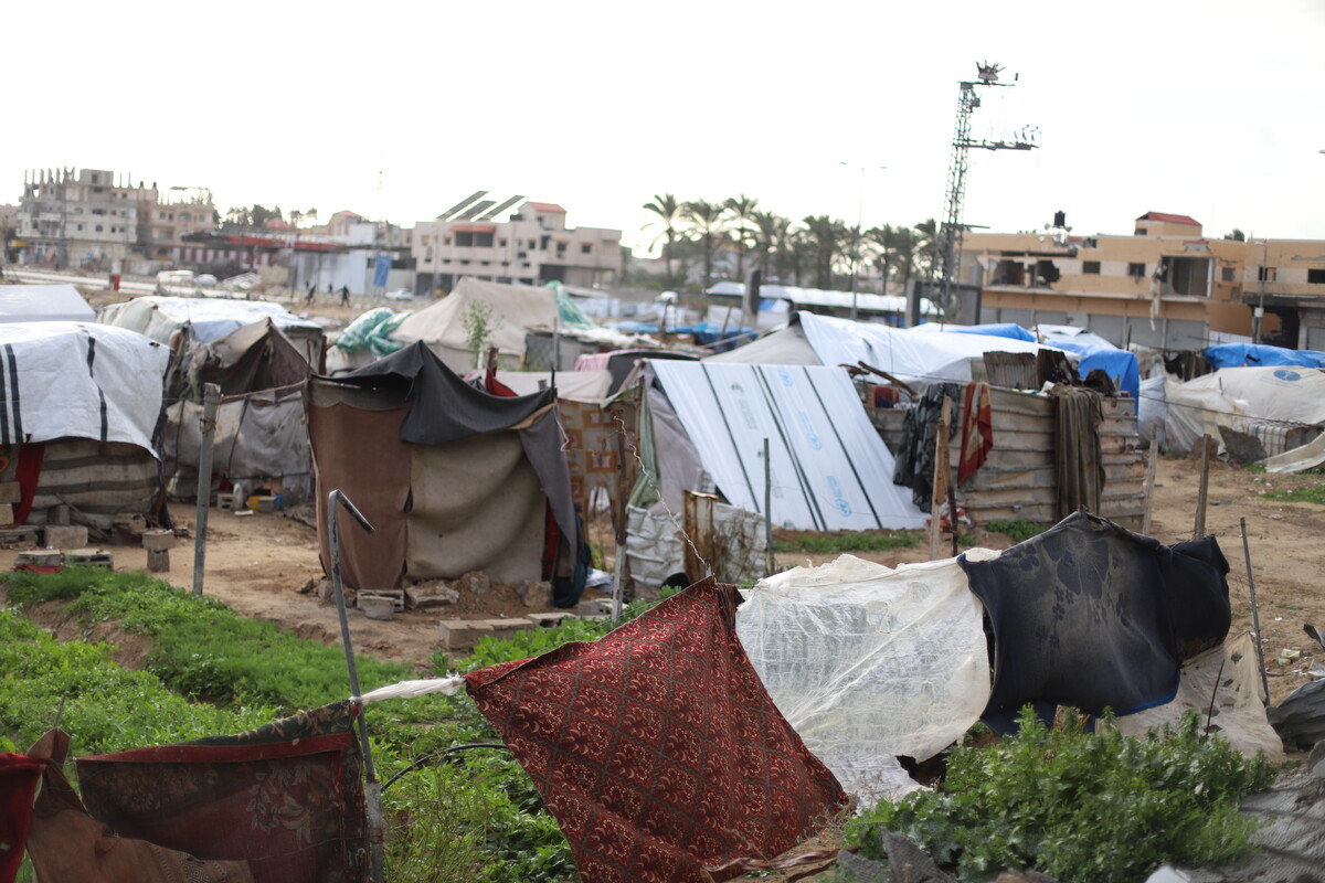 ActionAid USA tweet media