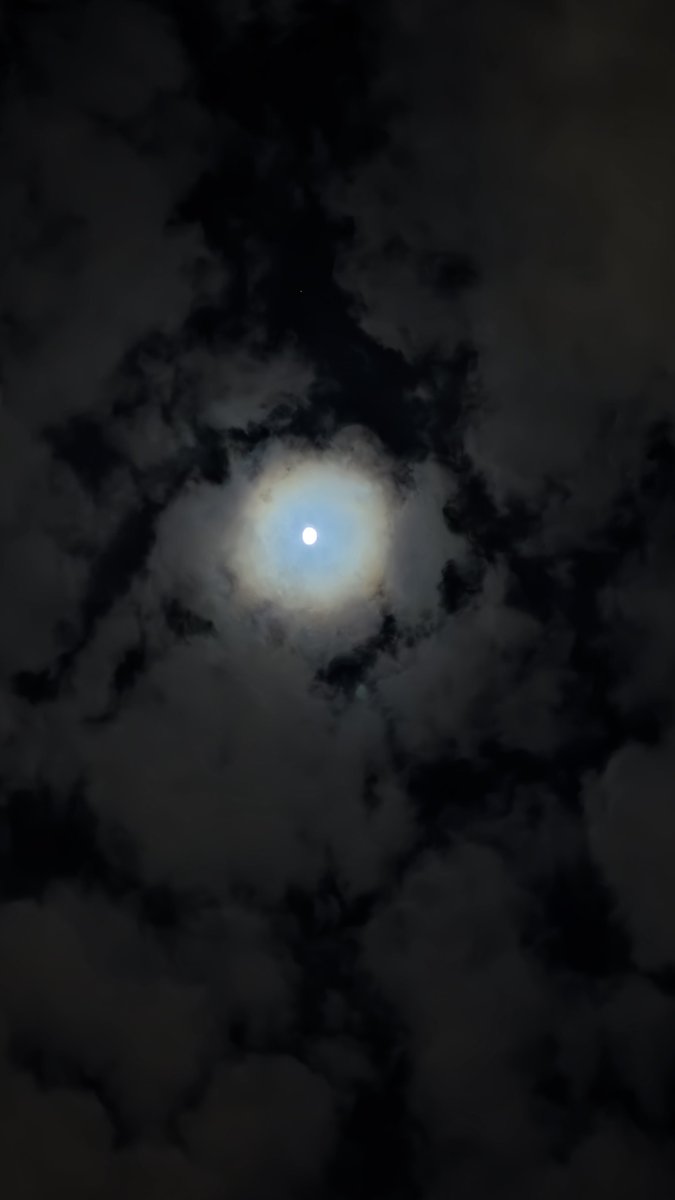 𝘍𝘏𝘋 tweet media