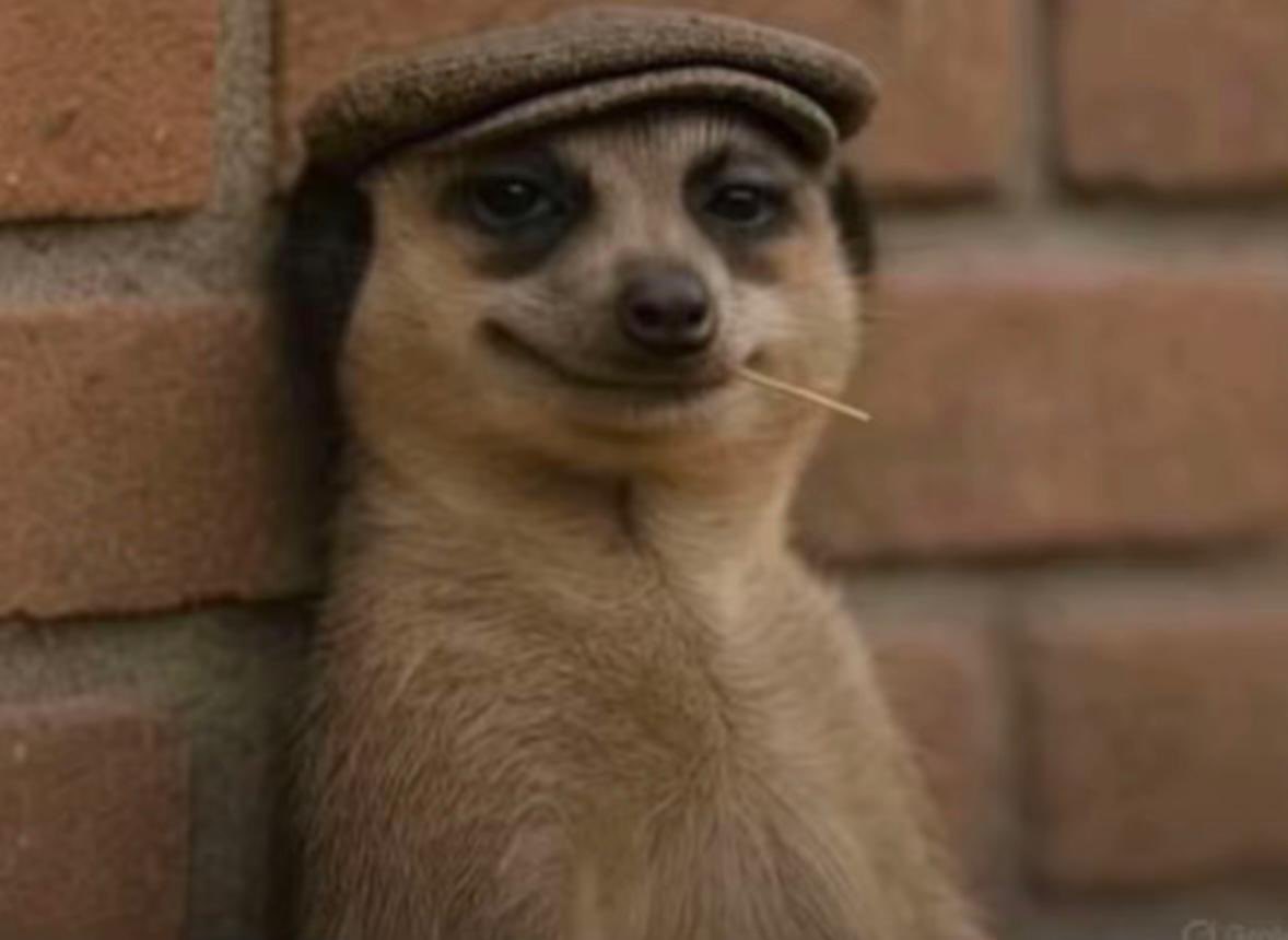 Jin Sakai tweet media