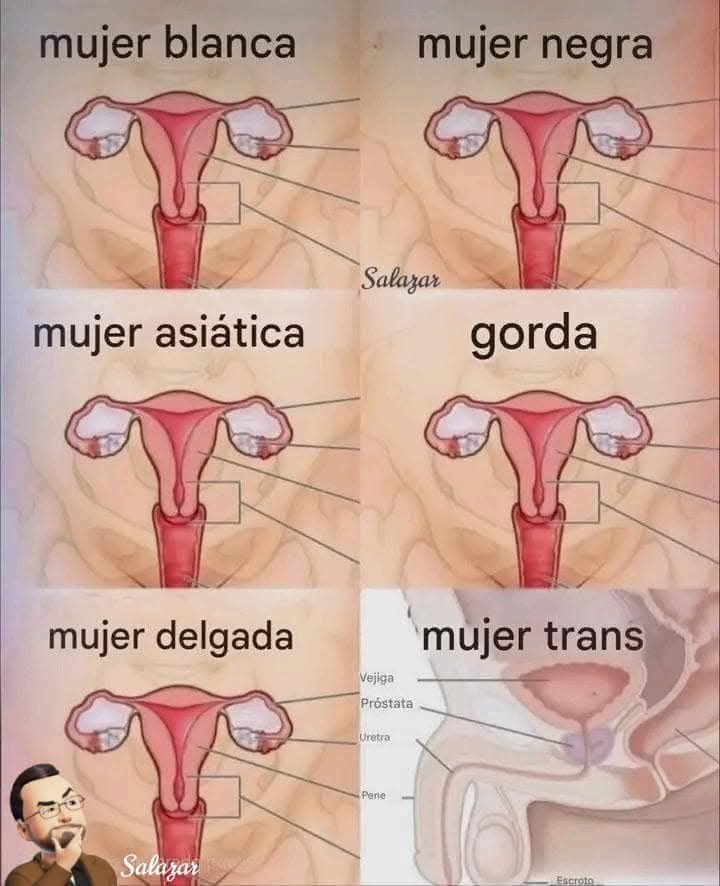 paz latorre tweet media