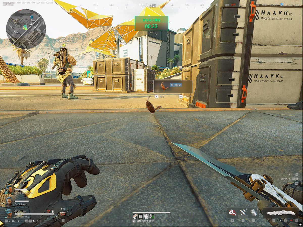 小鱼工作室 tweet media