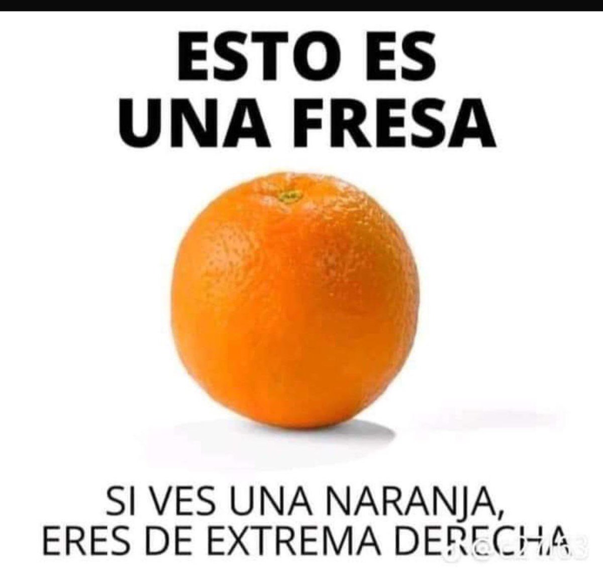 paz latorre tweet media