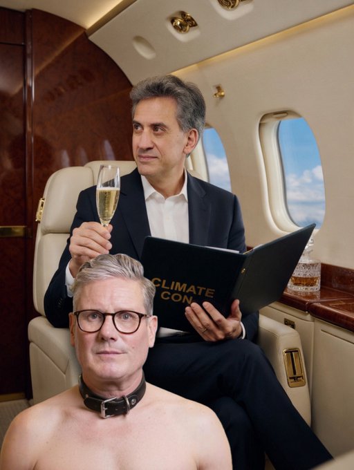 Andrew P tweet media