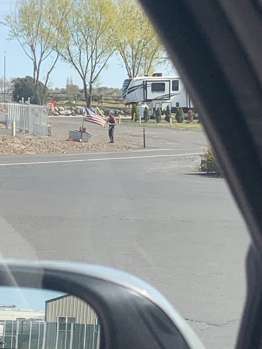 Half Brain o7 tweet media