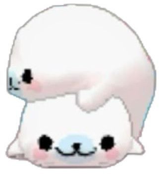 petito le tweet media